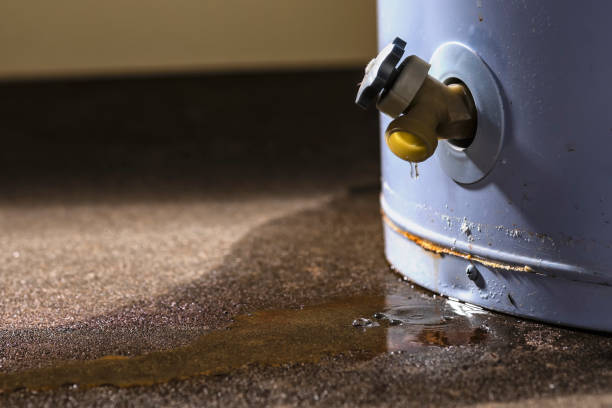 Best Professional water damage repair  in Woodbourne, PA