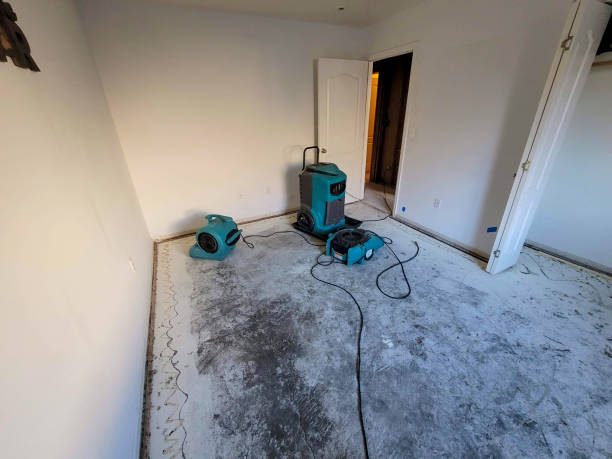Best Water damage restoration company  in Woodbourne, PA
