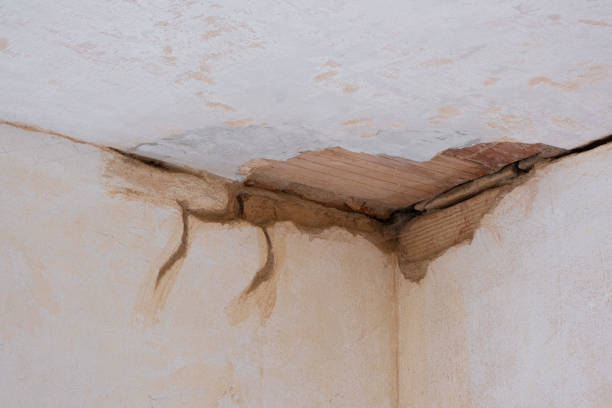 Best Water damage restoration cost  in Woodbourne, PA