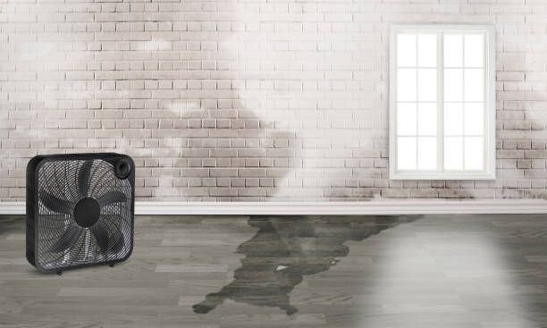 Best Commercial water damage restoration  in Woodbourne, PA