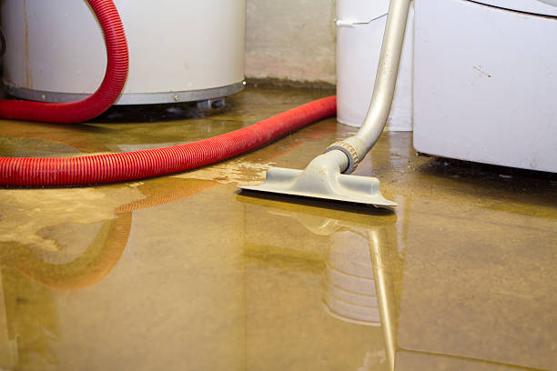  Woodbourne, PA Water damage restoration Pros