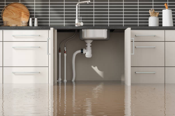 Best Water damage cleanup near me  in Woodbourne, PA
